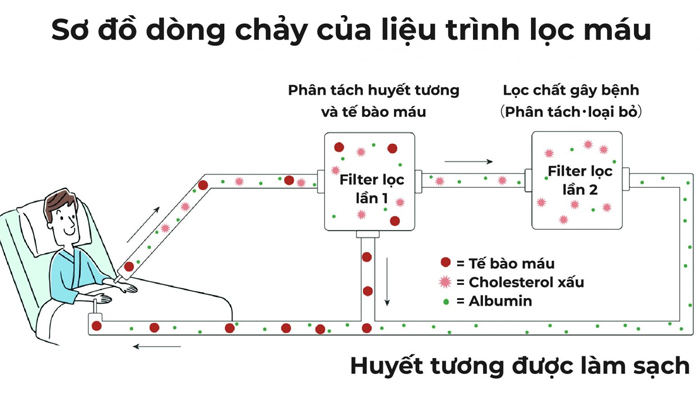 Máu nhiễm mỡ có nguy hiểm không