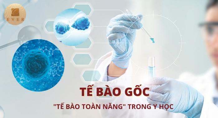 Te Bao Goc Chua Duoc Nhung Benh Gi 5
