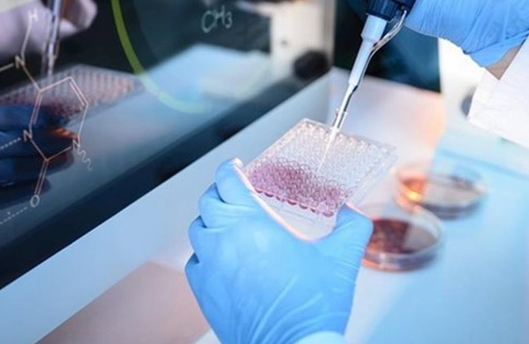 Liệu pháp tế bào gốc có vai trò quan trọng trong nhiều công trình nghiên cứu y học