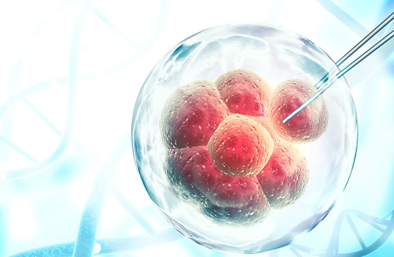 Tế bào gốc được ứng dụng trong nghiên cứu và điều trị nhiều bệnh lý
