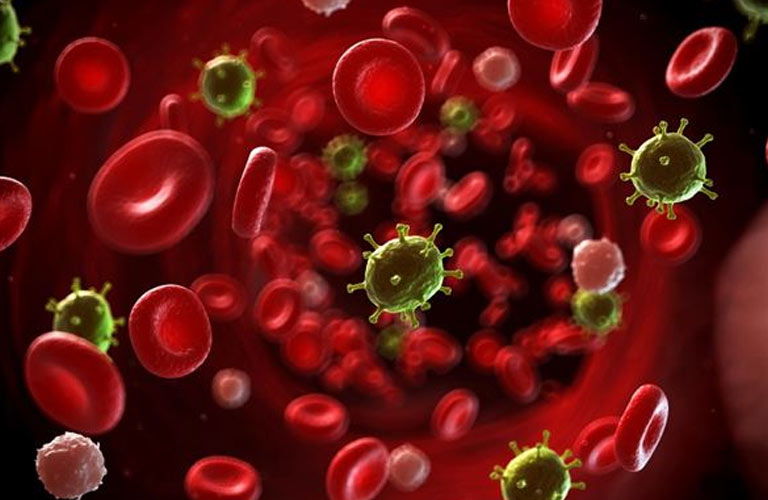Tế bào gốc tạo máu được ứng dụng trong liệu trình điều trị một số bệnh ung thư