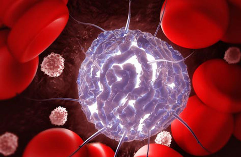 Tế bào gốc có thể tác động trực tiếp hoặc trở thành chất dẫn