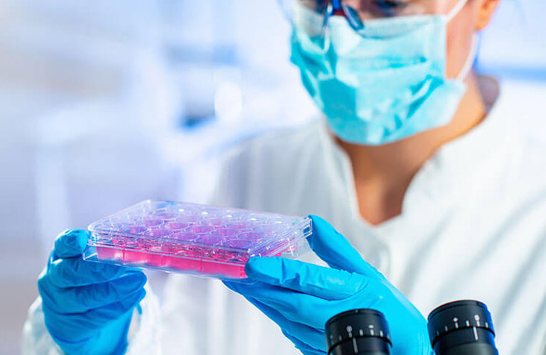 Liệu pháp tế bào gốc có ý nghĩa quan trọng trong y học 